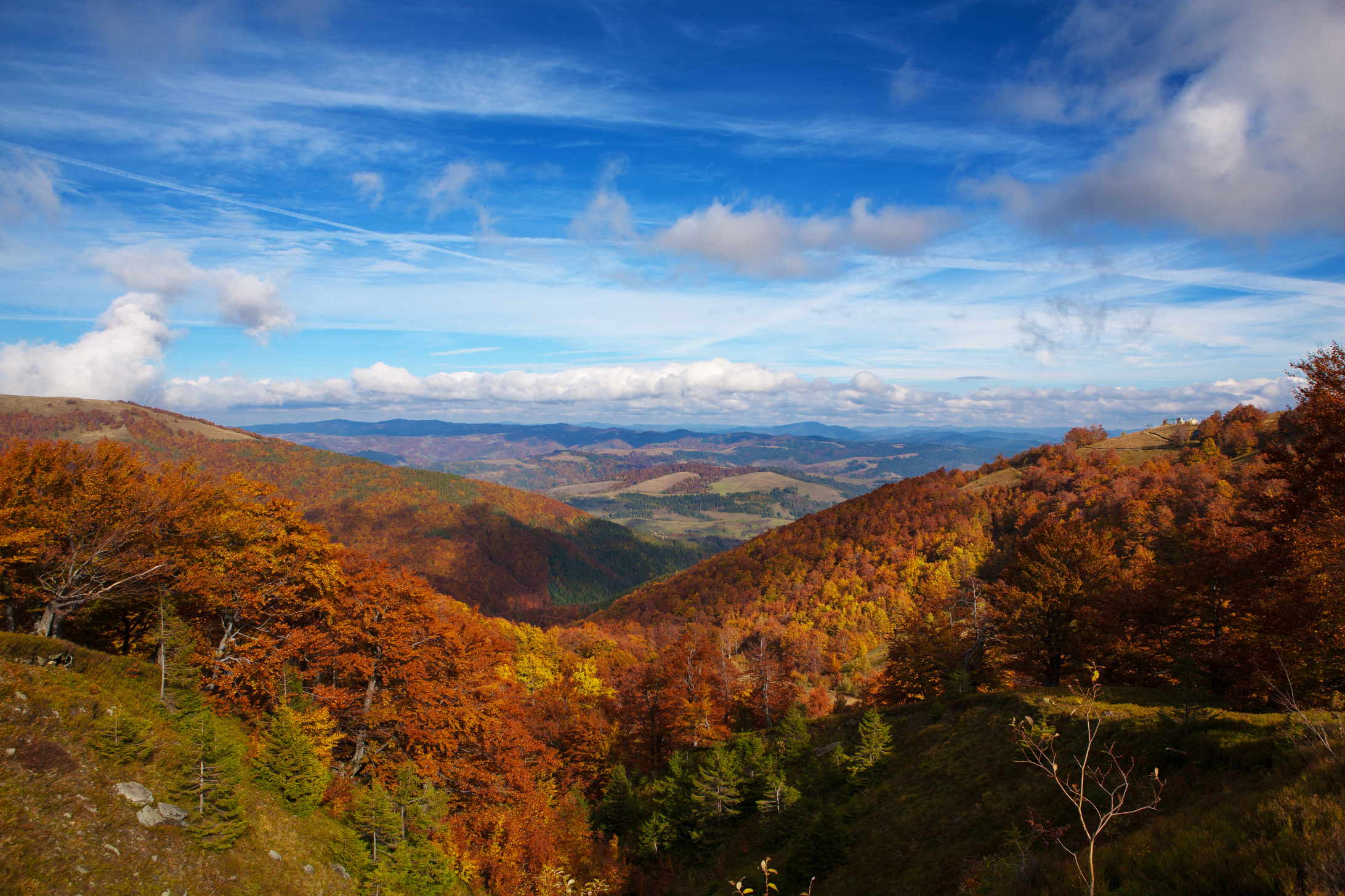 'nGolden Autumn in the Carpathians